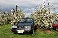 MG Bloesemrit op 24-4-2016 org. Jos&Marie-lou  (259)